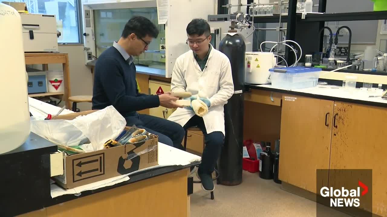 BC scientists, First Nation design decomposing "biofoam" packaging