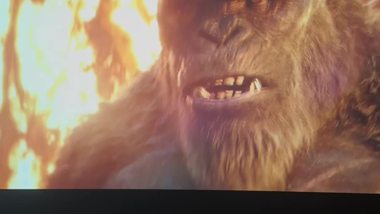 Monkeying Around - Godzilla x Kong