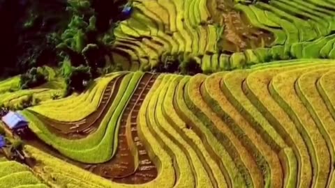 Mu Cang Chai Terraces, Vietnam.