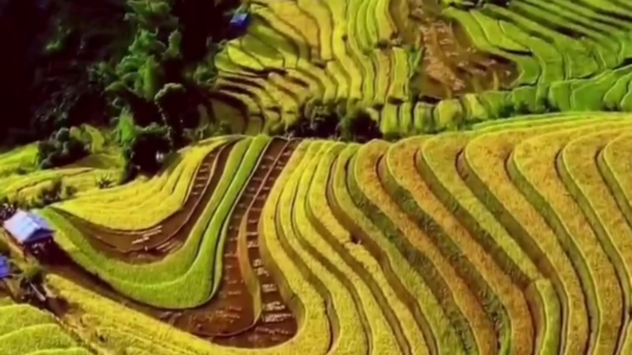 Mu Cang Chai Terraces, Vietnam.