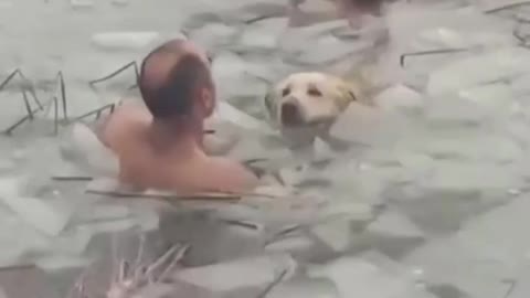 Spanish police save dog from icy reservoir