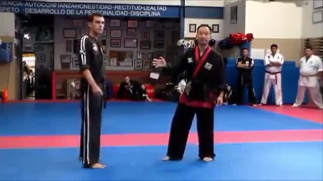 Hanminjok Hapkido