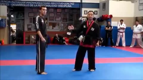 Hanminjok Hapkido