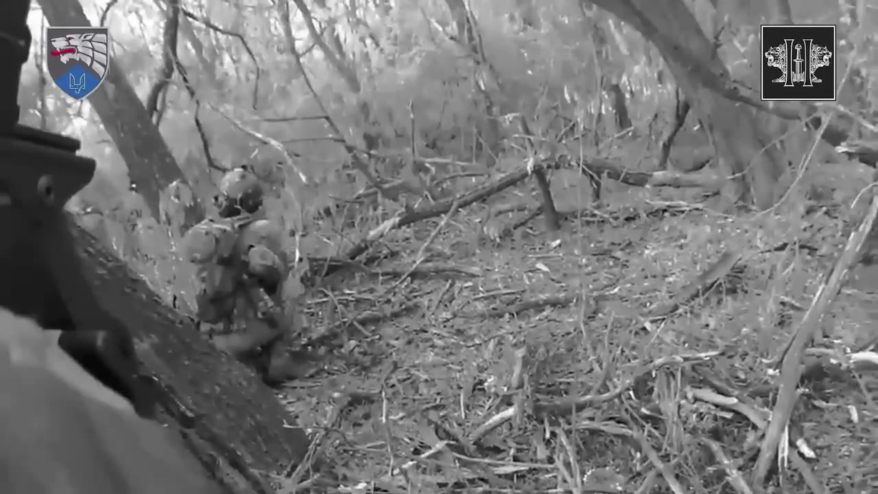 Daring Footage from a Ukrainian Special Forces Attack on Russian Bunkers