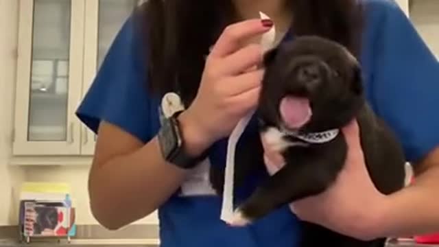 Are you done? NOOOOOO!
