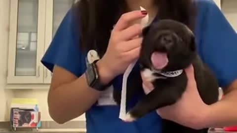 Are you done? NOOOOOO!