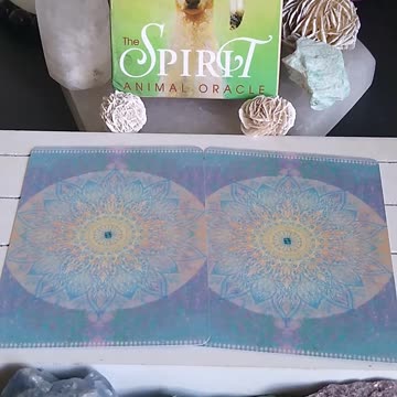 What Spirit Animals Are With You Today? #shorts