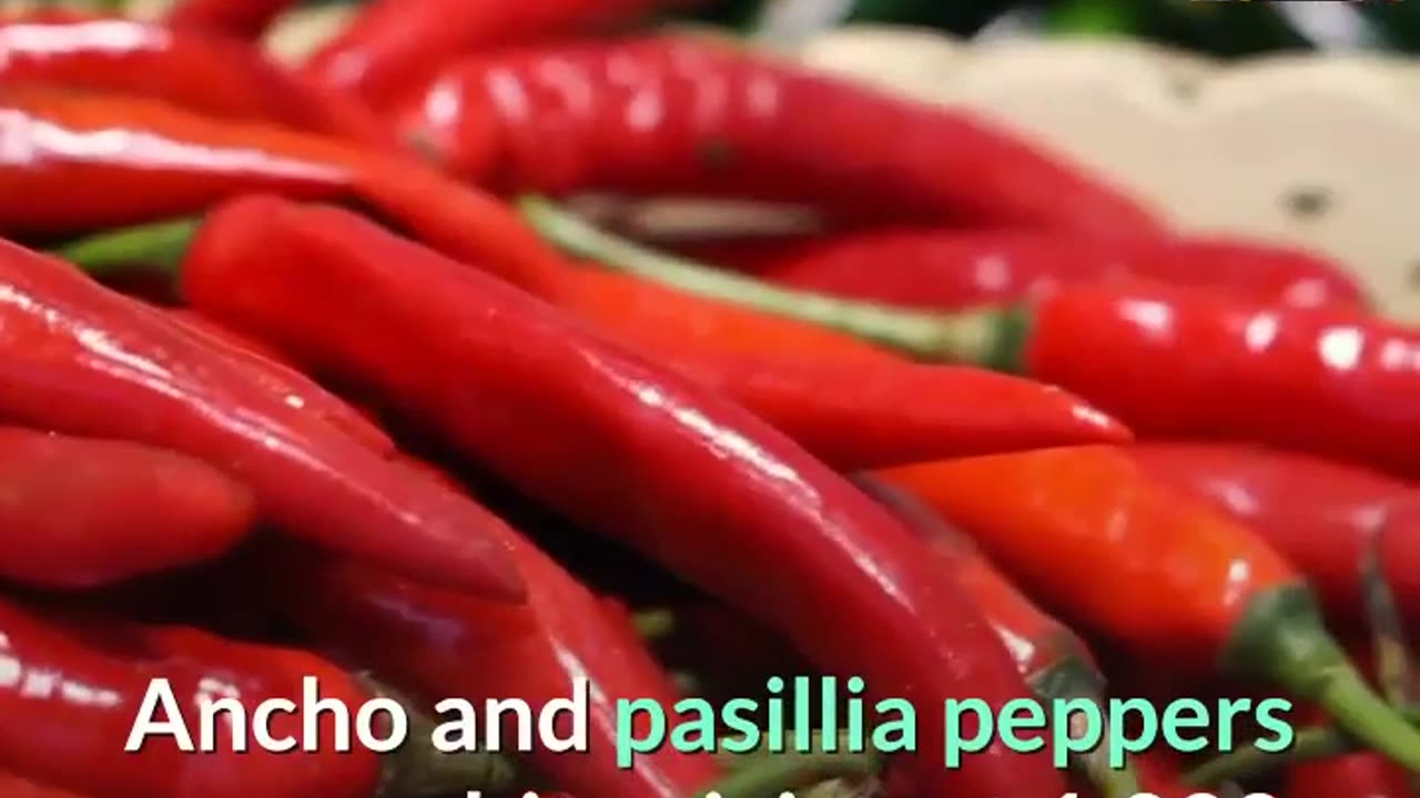 Hottest Among the Hottest All About Peppers