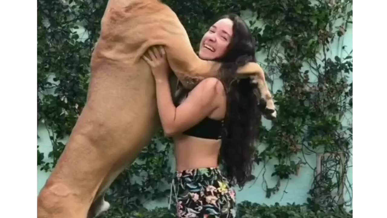 Dog and girls