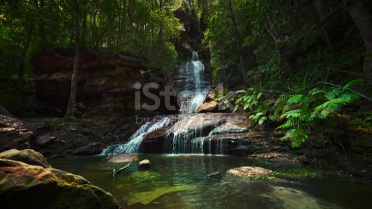 "Tiny Oasis: Peaceful Moments with Nature"