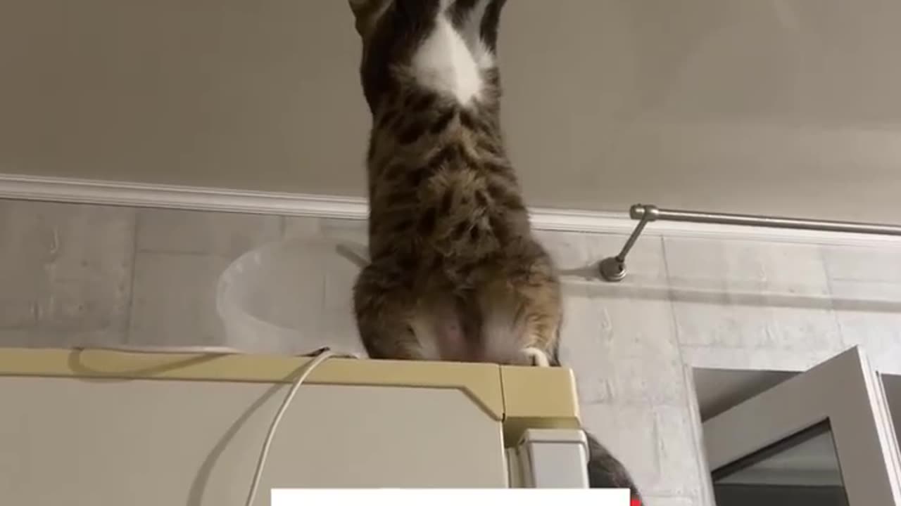 Expect electrician