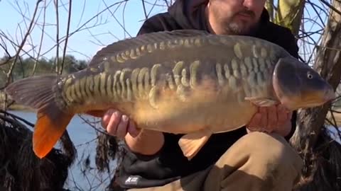 Chris Catching a Scaly Mirror