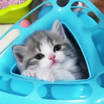 So_adorable_💖💞🥰...