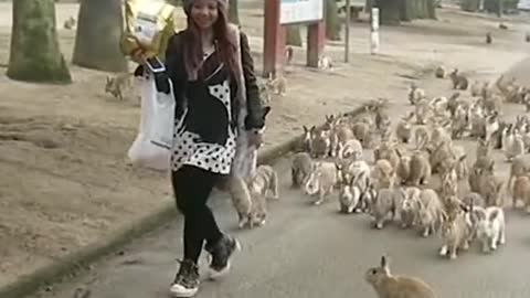 Islands that are ruled by animals 😮