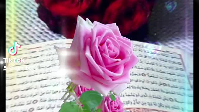 Beautiful Islamic video From Bangladesh