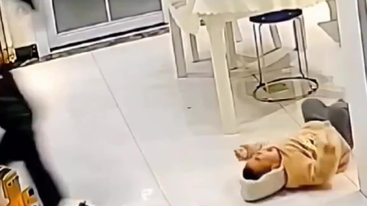 Funny video