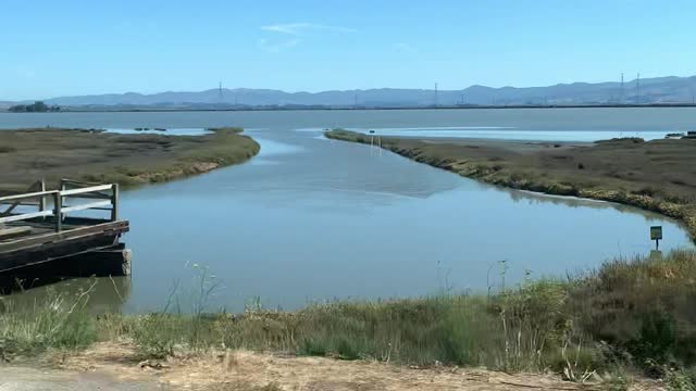 Bay Area drive