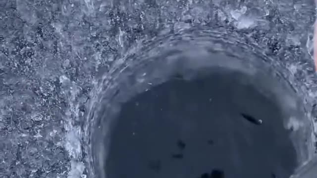 Ice check #oddlysatisfying