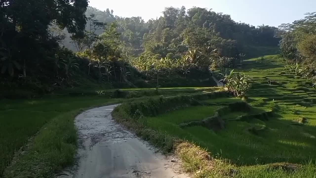 The morning atmosphere in the countryside | Atmosphere of West Java Village, West Bogor