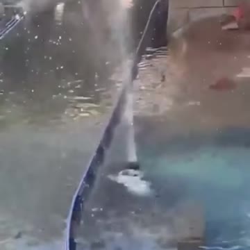 Enjoy a day at the theme park