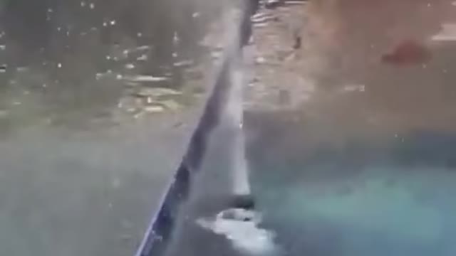 Enjoy a day at the theme park