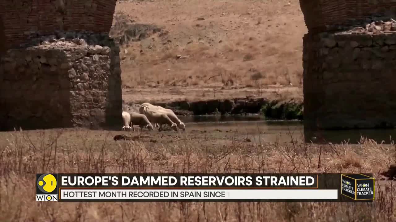 WION Climate Tracker: Spain's ancient water reservoirs dry up | World News