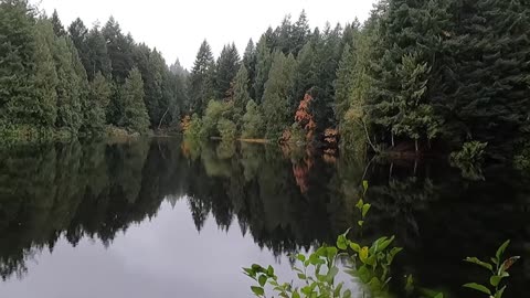 Lower Colliery Dam in Nanaimo BC