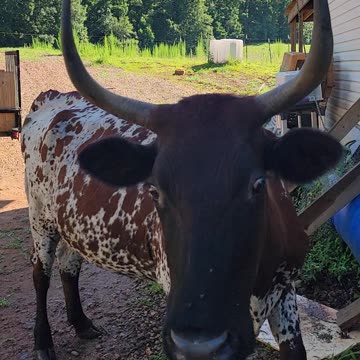 Caught in the act!!!