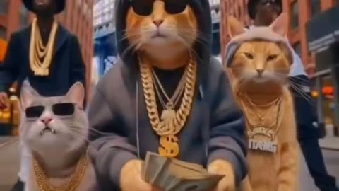 Hella Gangsta😺