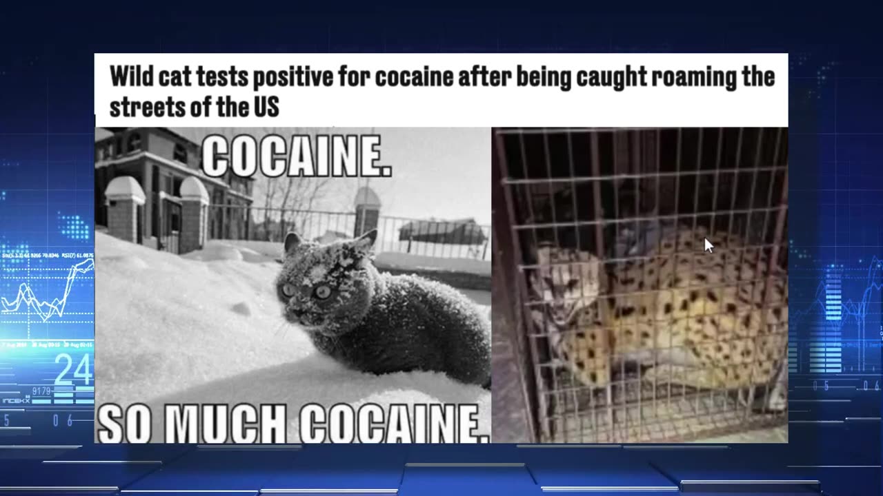 Weird News ad ...........