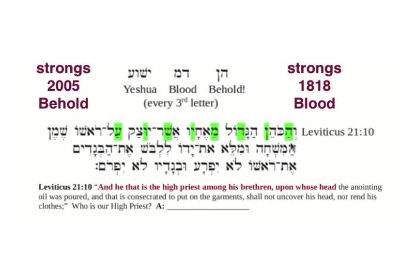 The Blood of Jesus in Hebrew Bible Code