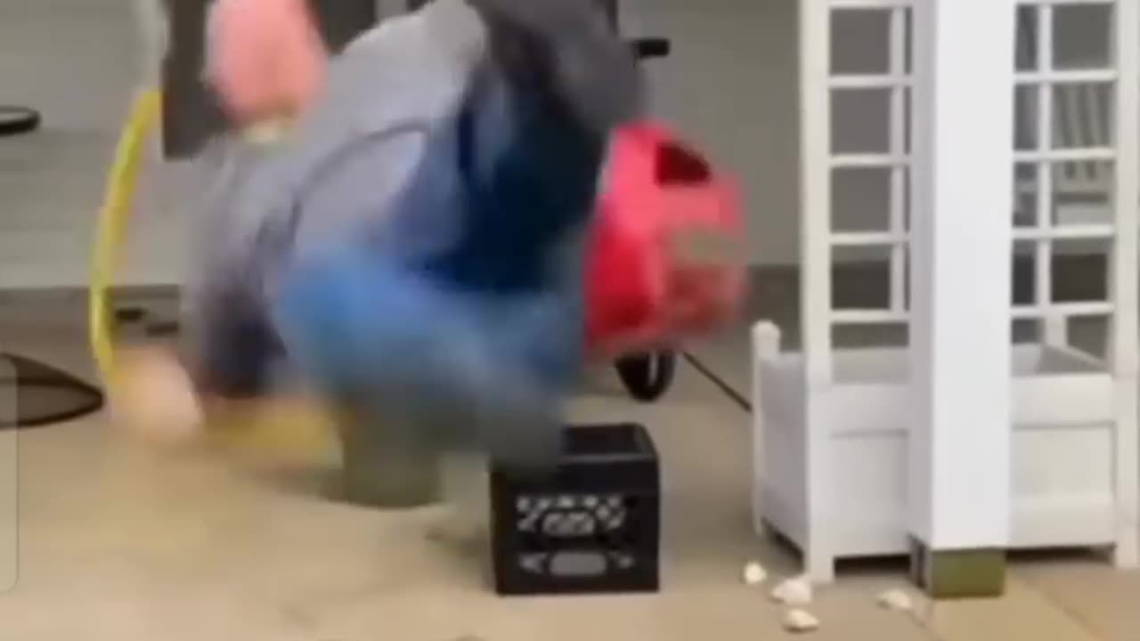 Funny falling