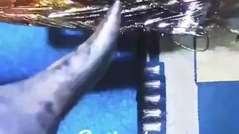 charging Port change.