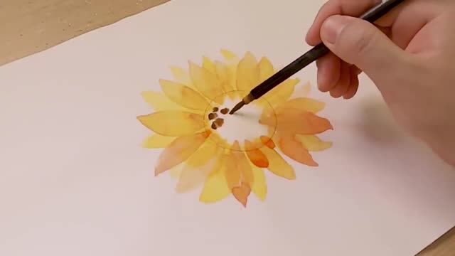 beautiful sunflower