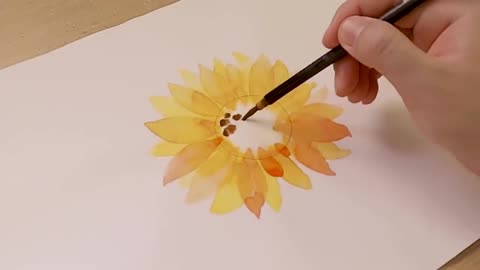 beautiful sunflower