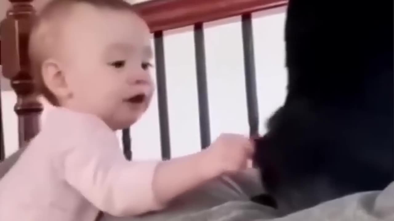 Funny cat vs kid😂