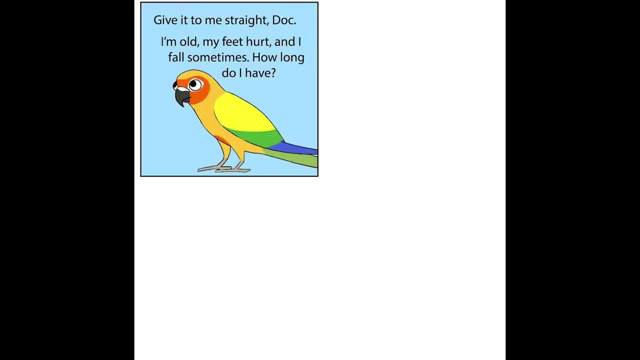 Funny Comics With A Parrot Twist