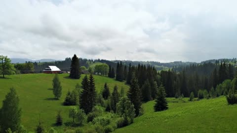 The Forest and Mountain