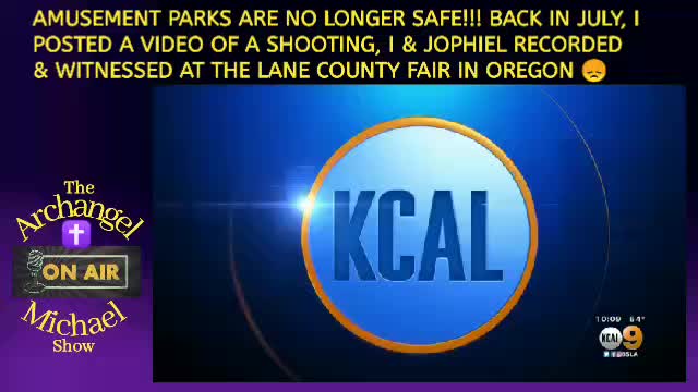 AMUSEMENT PARKS AREN'T WHAT THEY USE TO BE