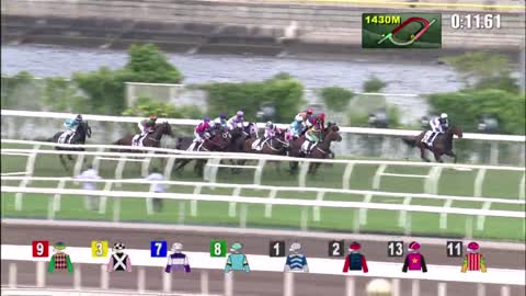 Horse_Race_2022060506_Chinese