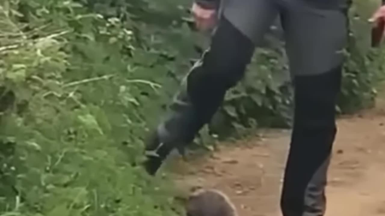 Diese Tiere zaubern dir ein Lächeln ins Gesicht! 😊