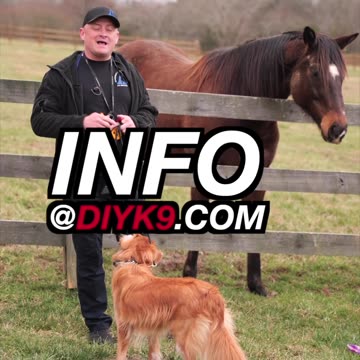 We’re Looking for a Video Editor!