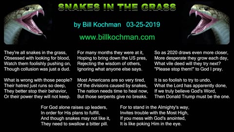 Snakes in the Grass -- a song by Bill Kochman.