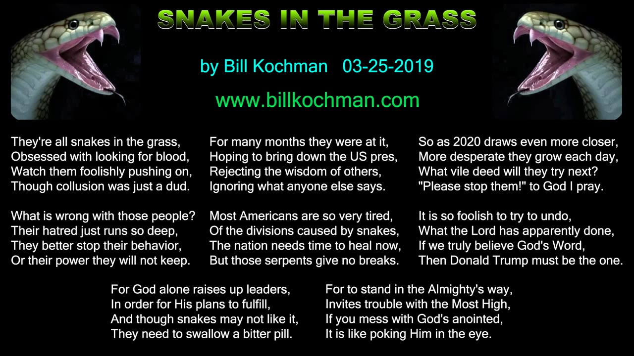 Snakes in the Grass -- a song by Bill Kochman.