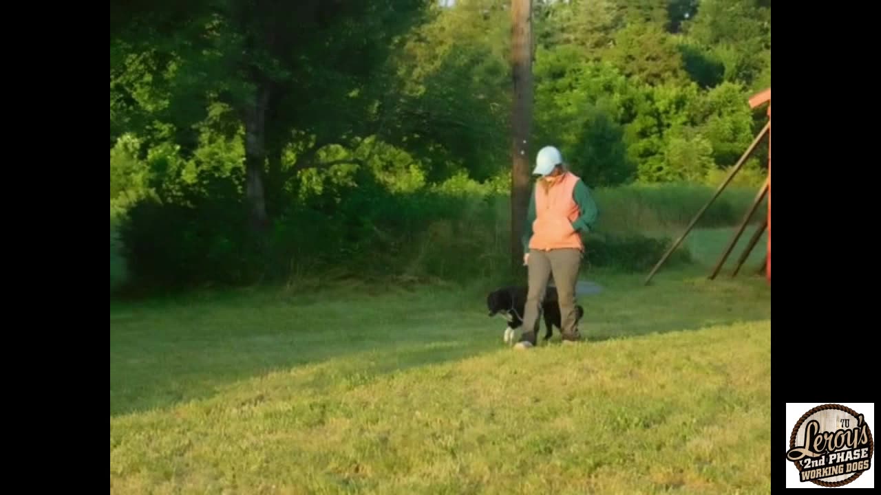 Jen's 1st leash lesson