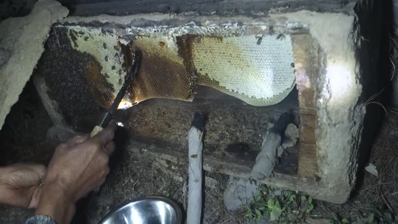 Organic honey - nepali mountain - village life