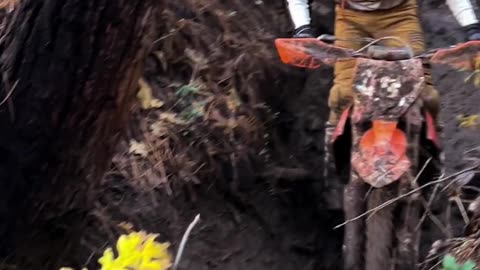 Awesome First Lap at the Wilseyville Hare Scrambles