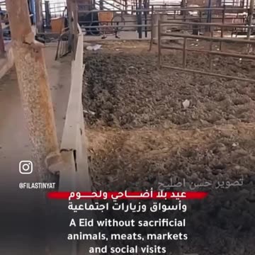 Has the world ever celebrated a holiday like this?