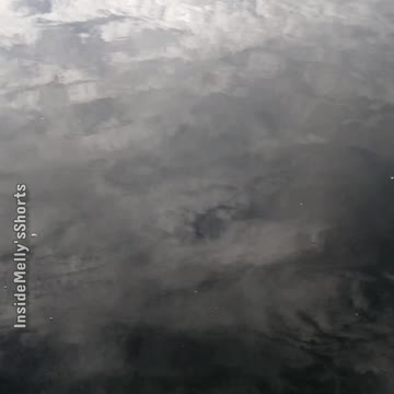 A Morning Moment from Florida