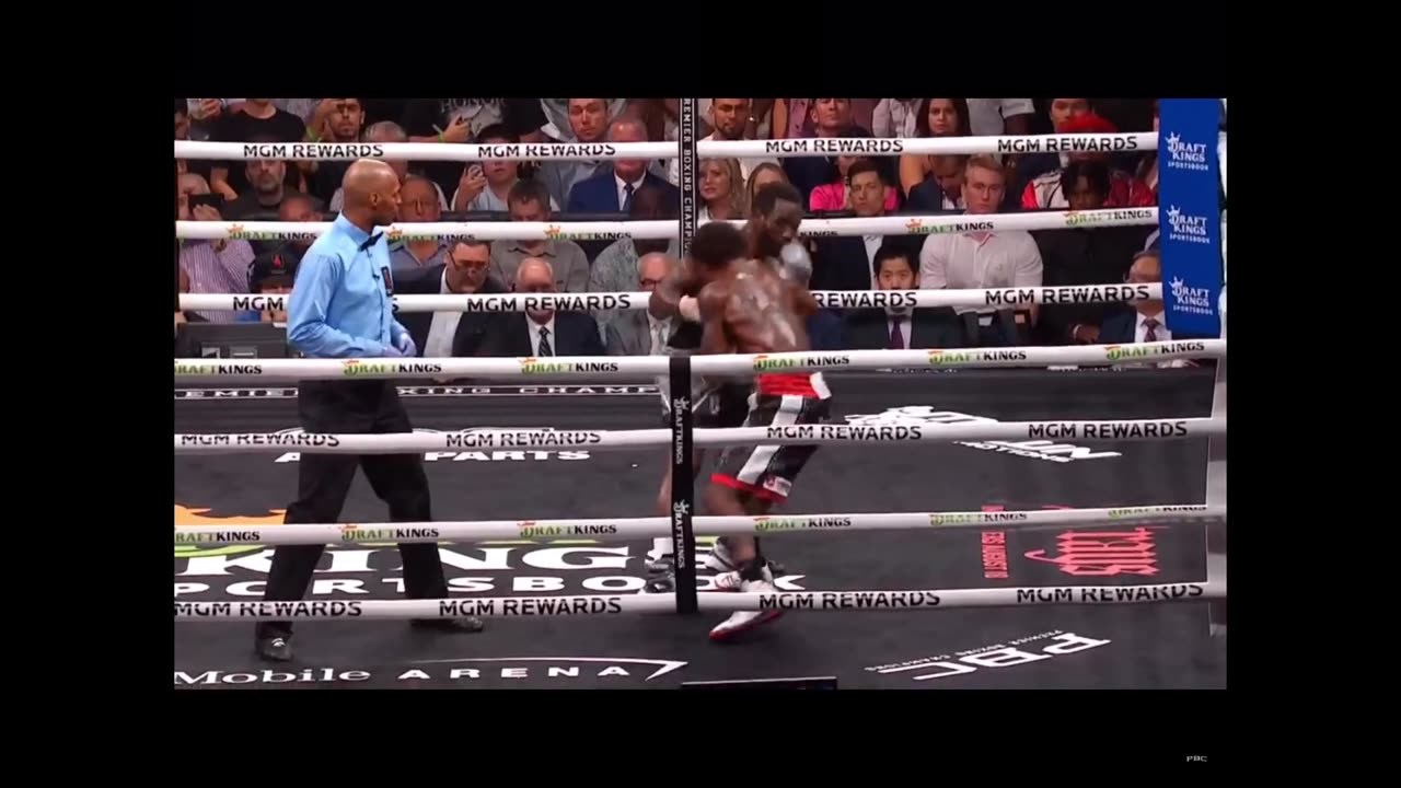 Terance Crawford vs Errol Spence ALL KOs